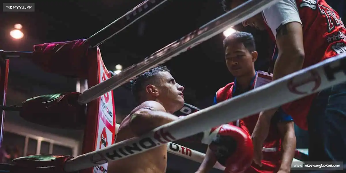 k8凯发——🎯射箭屏息，精准命中你的热爱🎯